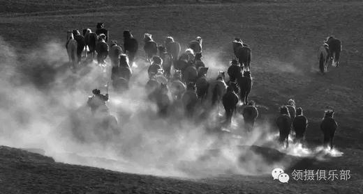 【坝上金秋】草原秋色&万马奔腾、承德避暑山庄、金山岭长城7天摄影团 商品图5