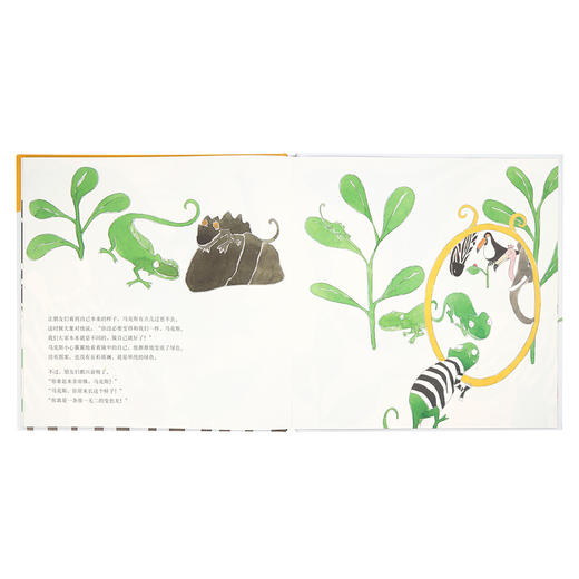 《变色龙马克斯》变色龙怎么变，才能成为自己？3–6岁读小库绘本 商品图4