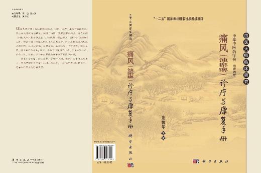 痛风（浊瘀痹）诊疗与康复手册 商品图3