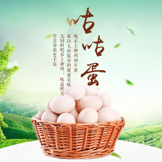 【现货】咕咕蛋(30枚/盒) 土鸡蛋散养鸡蛋头窝蛋初生蛋礼品礼盒 商品图0