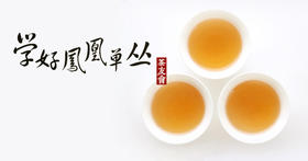 凤凰单丛专题课堂