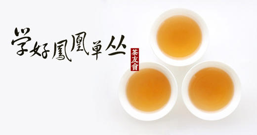 凤凰单丛专题课堂 商品图0