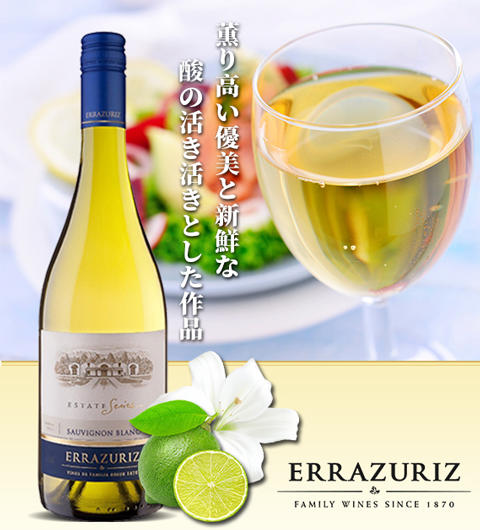 伊拉苏酒庄长相思白葡萄酒 2020 ERRAZURIZ ESTATE SAUVIGNON BLANC 750ml 商品图0