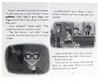 Branches学乐大树神奇校车系列 英文原版 THE MAGIC SCHOOL BUS RIDES AGAIN 3册合售 儿童分级阅读绘本 内容简单易懂 带黑白插图 商品缩略图1