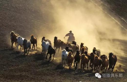 【坝上金秋】草原秋色&万马奔腾、承德避暑山庄、金山岭长城7天摄影团 商品图6