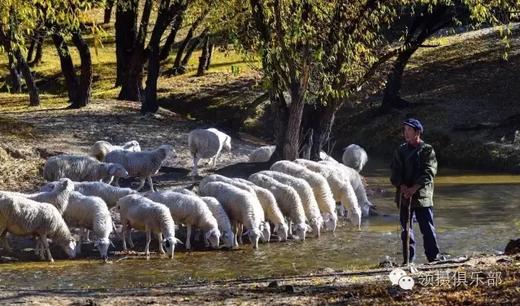 【坝上金秋】草原秋色&万马奔腾、承德避暑山庄、金山岭长城7天摄影团 商品图7
