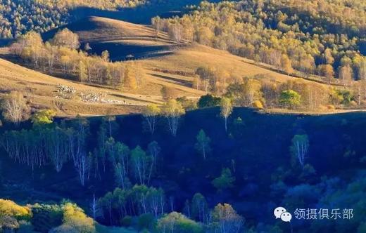 【坝上金秋】草原秋色&万马奔腾、承德避暑山庄、金山岭长城7天摄影团 商品图1