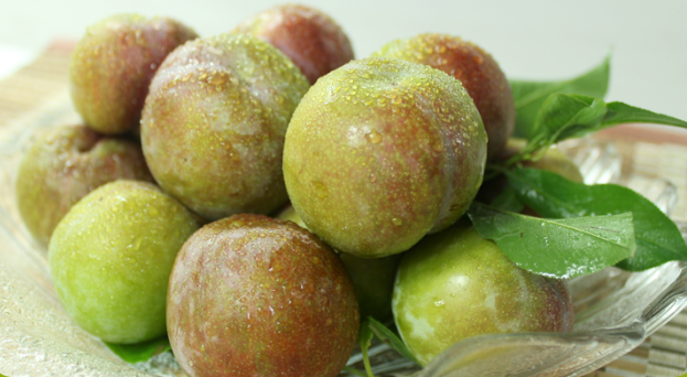 翁源三华李国家地理标志产品对肝病有较好的保养作用贫血者适宜使用5