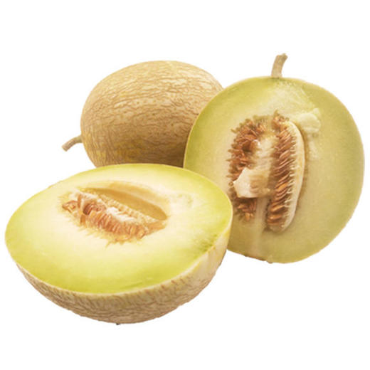 梁大爷的银蒂蜜瓜熟了沙乡民勤银蒂蜜瓜89斤装你从来没有吃过的甜美买