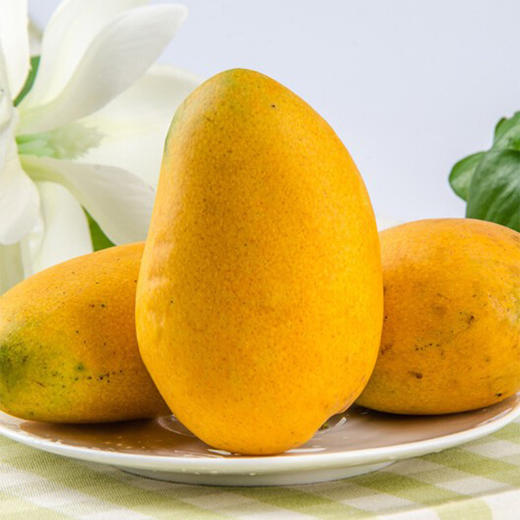 台农芒果 商品图3