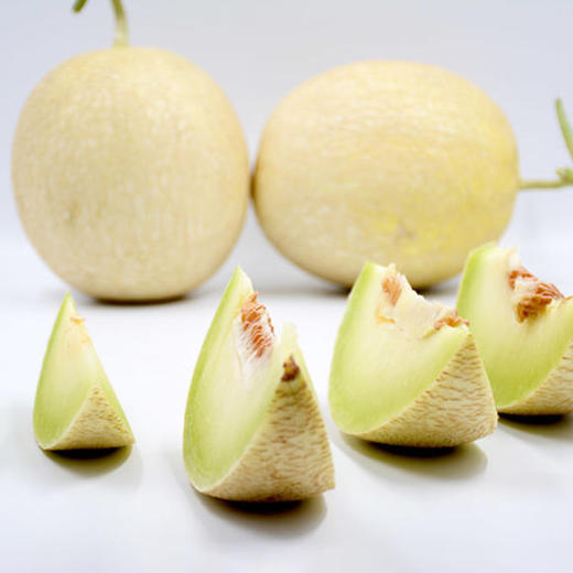 梁大爷的银蒂蜜瓜熟了沙乡民勤银蒂蜜瓜89斤装你从来没有吃过的甜美买