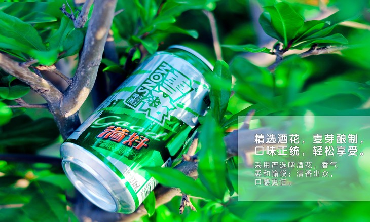 雪花啤酒满好330ml*6