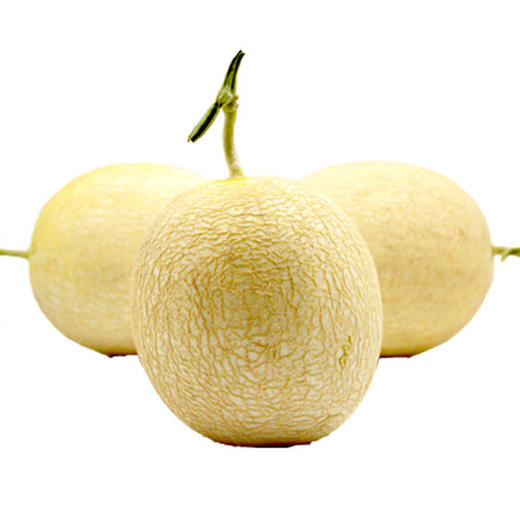 梁大爷的银蒂蜜瓜熟了沙乡民勤银蒂蜜瓜89斤装你从来没有吃过的甜美买