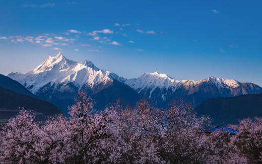 雪域桃花秘境行｜林芝波密+大峡谷+三大圣湖8天摄影之旅 商品图5