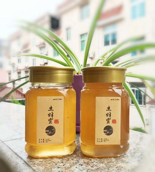 山头养蜂人松阳三代养蜂世家正宗土蜂蜜500g罐