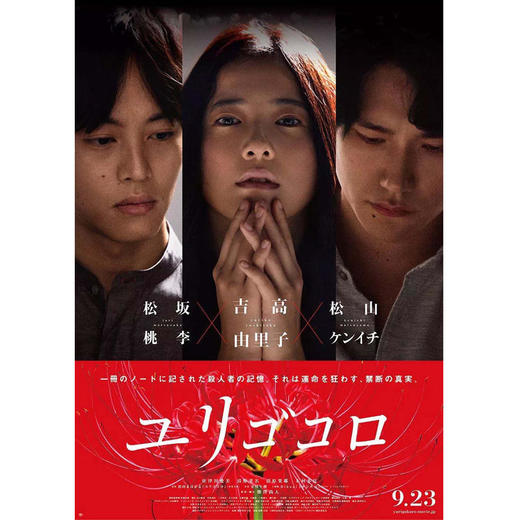 摇摆的心（吉高由里子主演同名电影《摇曳的心》《摇曳不安的心》精装版） 商品图1