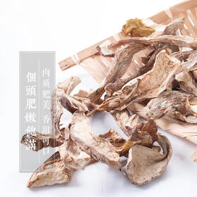 云南楚雄 | 牛肝菌(150g)
