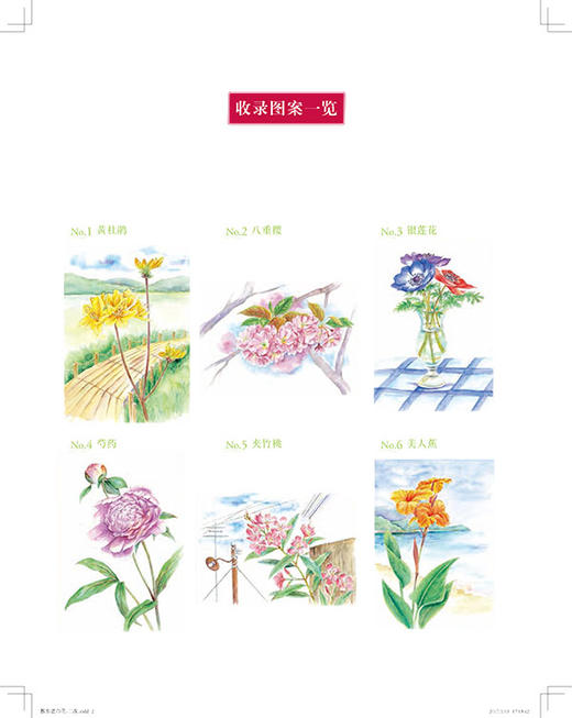 小径花绘 秘密花园系列 成人填色书 涂色书 解压减压手绘画册绘画图画本 我的秘密花园儿童版小学生通用 涂绘书籍 商品图1