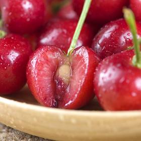 山东樱桃