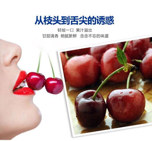 澳洲车厘子 商品图0