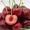 山东樱桃 商品缩略图1