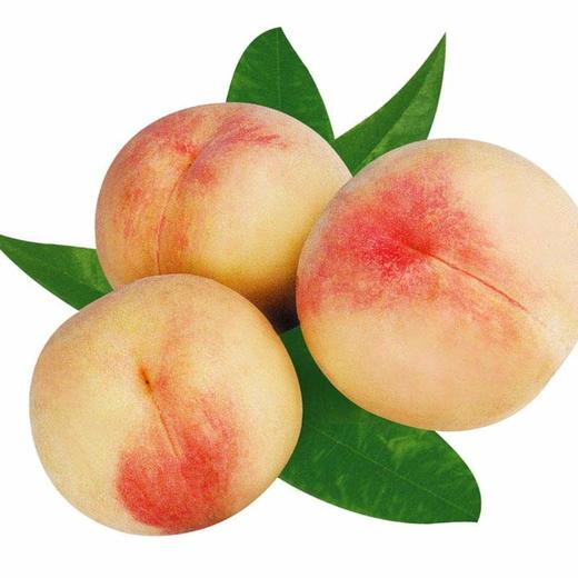 水蜜桃 商品图0