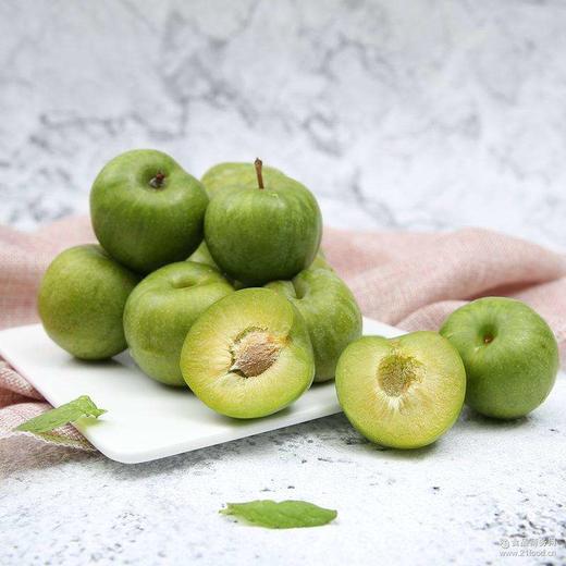 田家沙地西瓜5斤（超出补差价） 商品图0