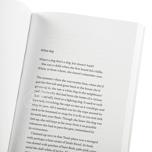 【中商原版】诺贝尔文学奖2024年得主 韩江 白 英版平装 英文原版 The White Book Han Kang 可搭 少年来了 失语者 素食者 不说再见 商品图2