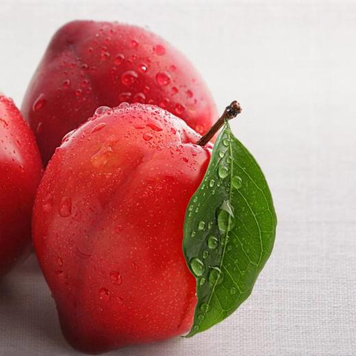 维修卡 商品图0