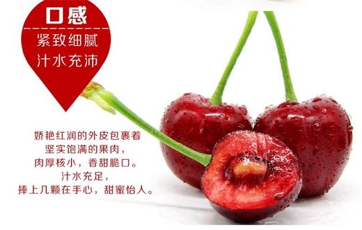 进口殷桃 商品图3