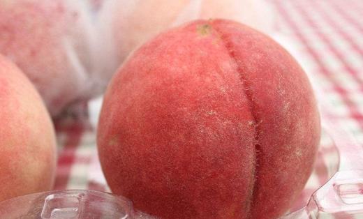 盒装富硒桃 商品图0