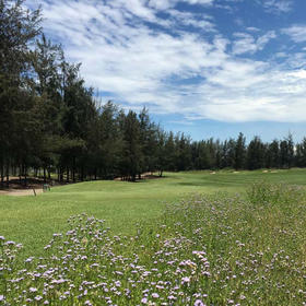 岘港蒙哥马利高尔夫俱乐部 Montgomerie Links Golf club Vietnam  | 岘港高尔夫球场 | 越南高尔夫球场 俱乐部