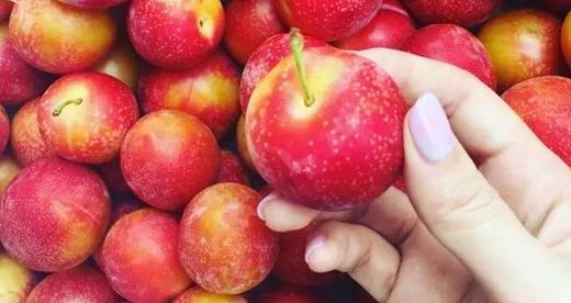 测试0121 商品图0