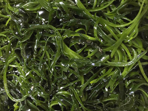 【下单后48小时发货】南日岛 海带丝120g*4包装 商品图6