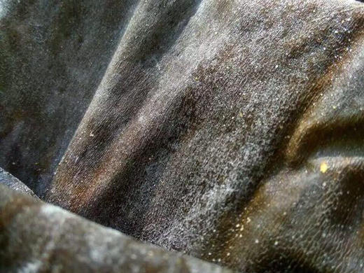 【下单后48小时发货】南日岛 海带丝120g*4包装 商品图11