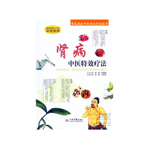 肾病中医特效疗法.常见病症中医特效疗法丛书 商品图0