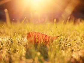 神奇万花筒 day4