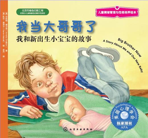 儿童情绪管理与性格培养绘本--我当大哥哥了：我和新出生小宝宝的故事 商品图1