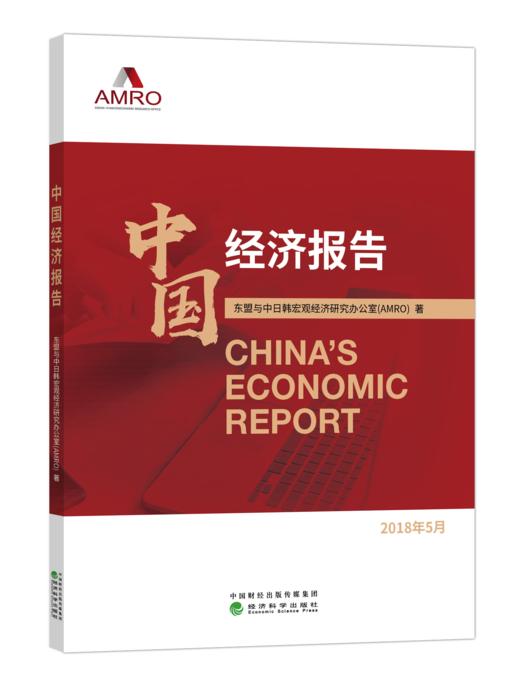 中国经济报告 商品图0