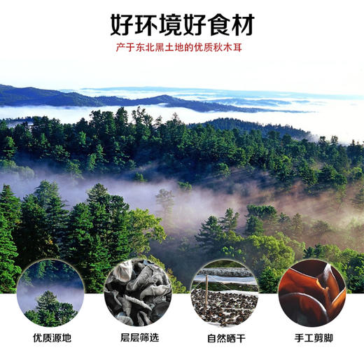 东北延边精品黑木耳拍一发二【包邮】 商品图3
