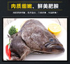 【鲽鱼头】45元/斤，约1.5-3斤/个，产地：格陵兰 商品缩略图0