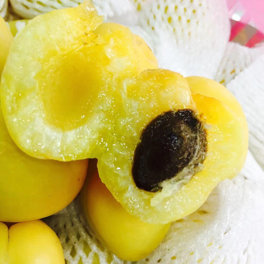 【尝鲜新疆小白杏】新鲜上市，纯甜可口，越放软了越甜，先挑黄的软的吃，新疆天小白杏，肉孜鲜美，果核也可食用哦💦 ，可谓一果两吃🍭 而且营养丰富 商品图4