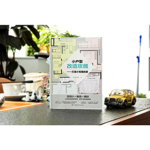 小户型改造攻略——打造小而美的家（小户型改造王，让您的小家越住越大，越住越美。） 商品图1