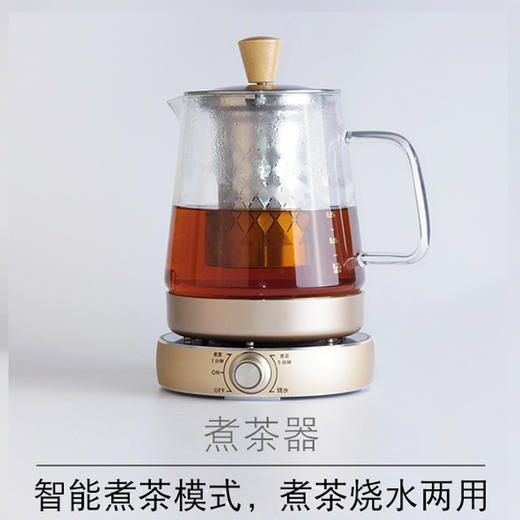 煮茶器黑茶白茶普洱玻璃电热水壶养生壶 全自动保温煮茶壶 商品图0