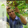 生态丝瓜 | 绿家自产*ecological towel gourd | Self-production 商品缩略图2