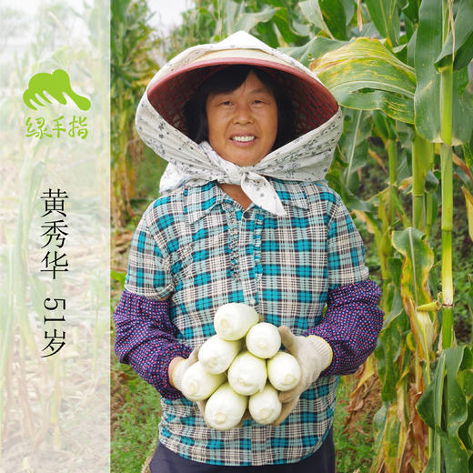 生态水果玉米 | 绿家自产*Organic sweet corn | Self-production 商品图1