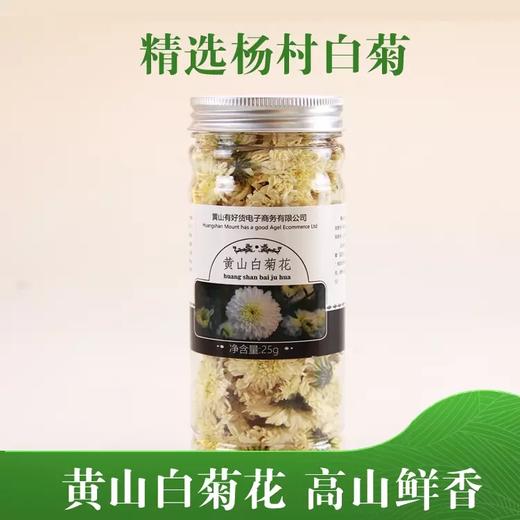 梅川村特级黄山白菊花 商品图0