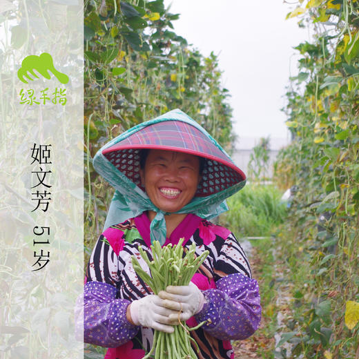 生态豇豆 | 绿家自产*Ecological cowpeas | Self-production 商品图1