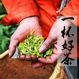 黄山毛峰雨后富溪高山揉捏浓香型野茶袋装散装绿茶茶叶