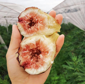 有机无花果(预售)   | 绿家自产 *  Organic figs ( pre-sale ) | Self-production
